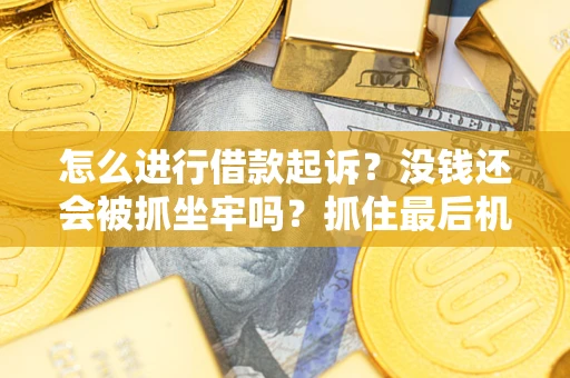 济南怎么进行借款起诉？没钱还会被抓坐牢吗？抓住最后机会！
