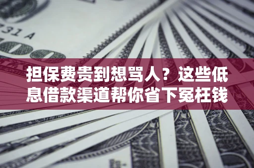 济南担保费贵到想骂人？这些低息借款渠道帮你省下冤枉钱